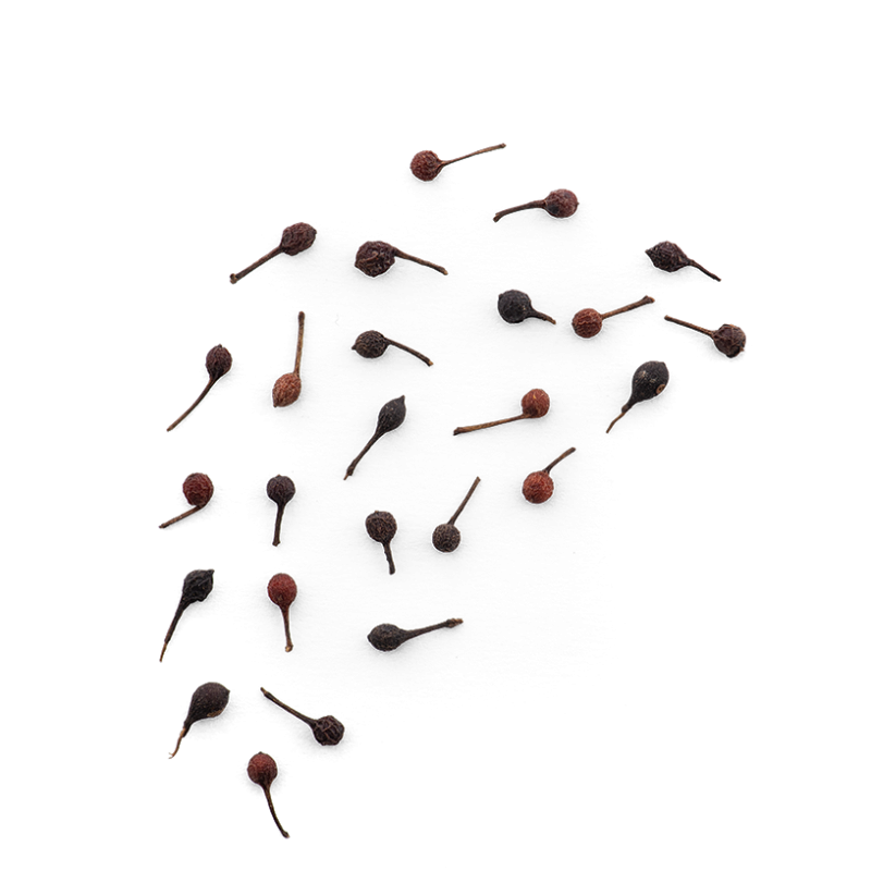 Poivre Sauvage Voatsiperifery