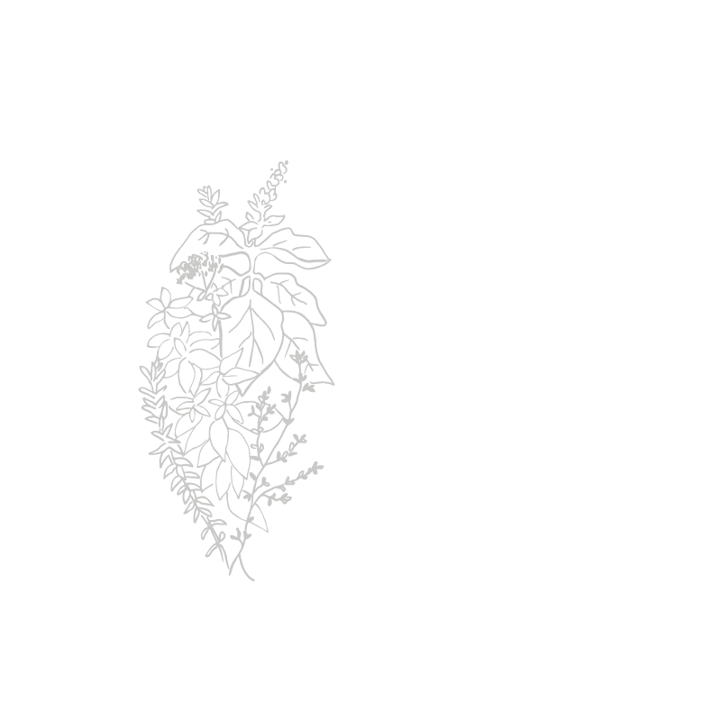 Herbes de Provence de Provence Bio