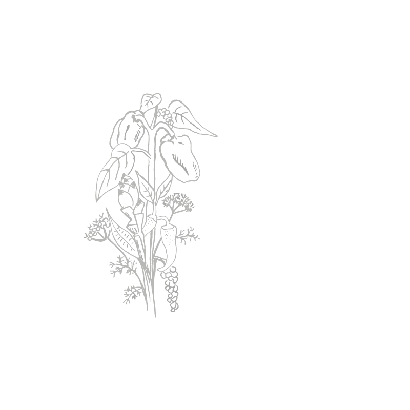 Curry Intense Homemade Recipe