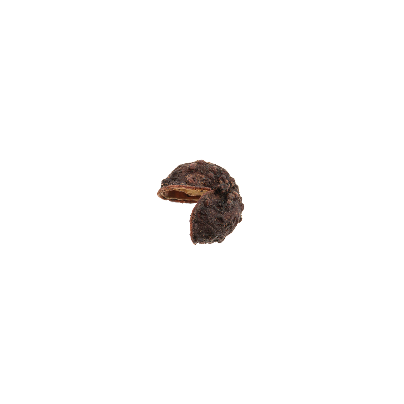 Poivre sauvage Timur