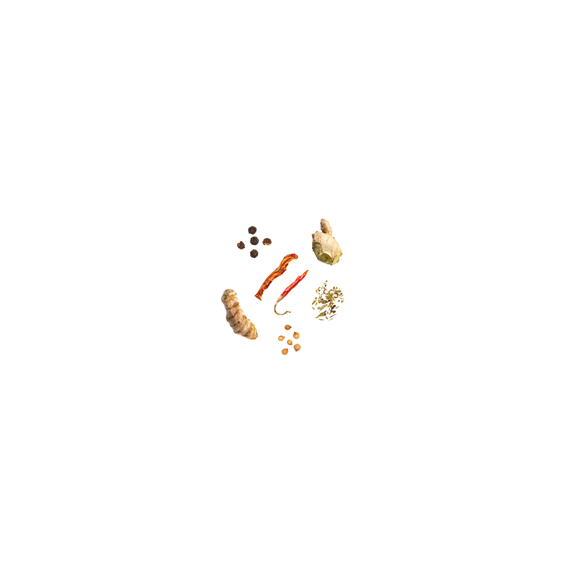 Cuisine Végétale