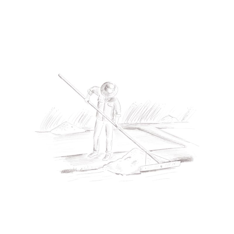 Fleur de Sel de Guérande