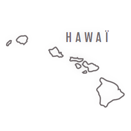 Sel Noir d'Hawaï - Achat, recettes et bienfaits - MesÉpices.com