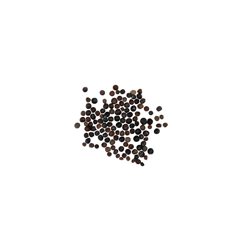 Do-it-yourself mustard kit!