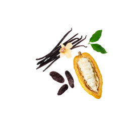 Berlingot Cacao Tonka Vanille