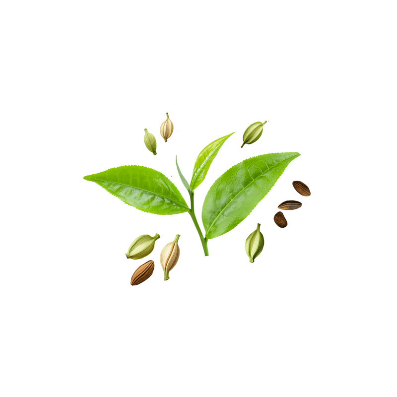 Chaï Cardamome