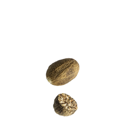 Nutmeg from Sri Lanka