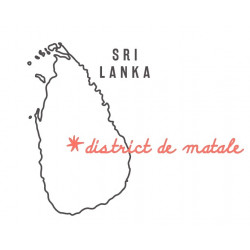 Nutmeg from Sri Lanka