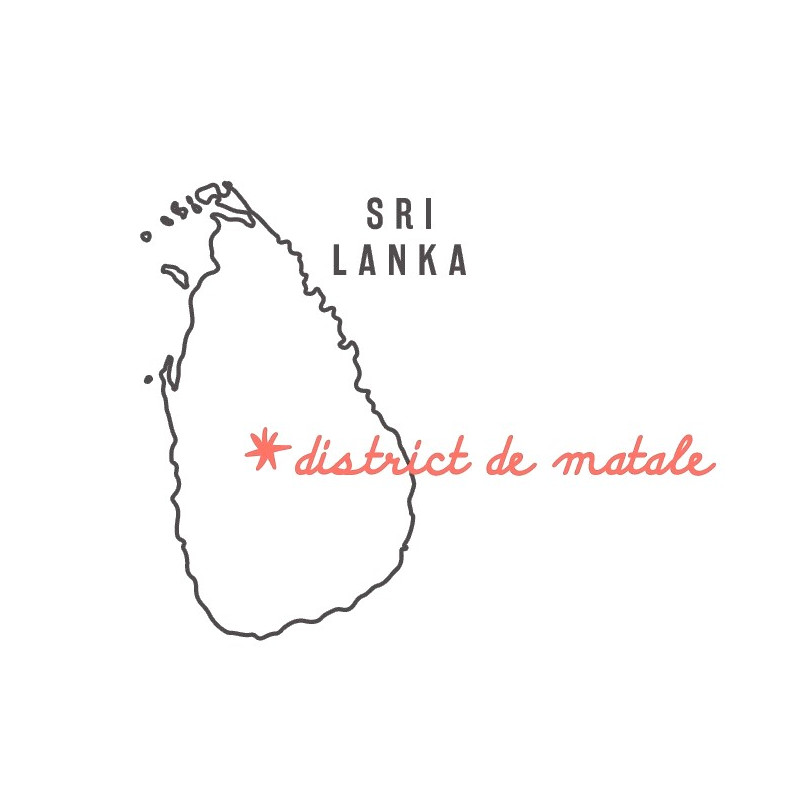 Nutmeg from Sri Lanka