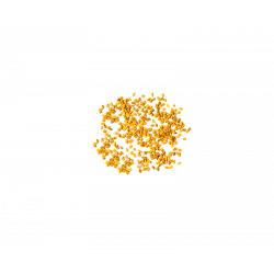 Organic Fenugreek from France