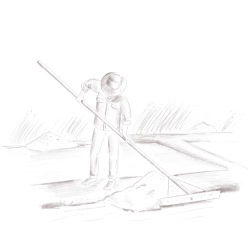 De Buyer Salt Mill JOTA Ebony