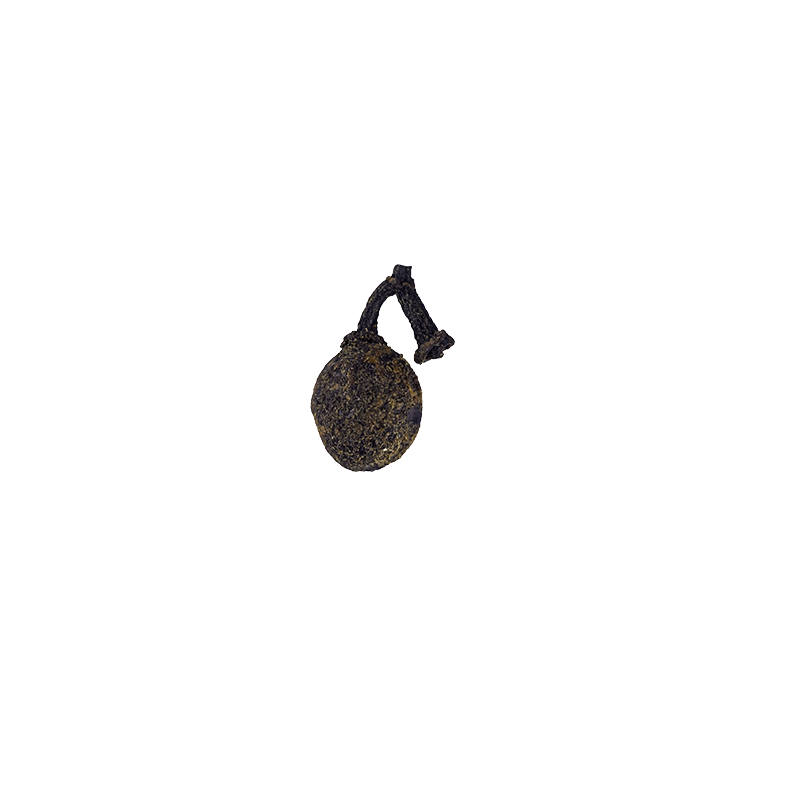 SilTimur berry or Tchuli pepper