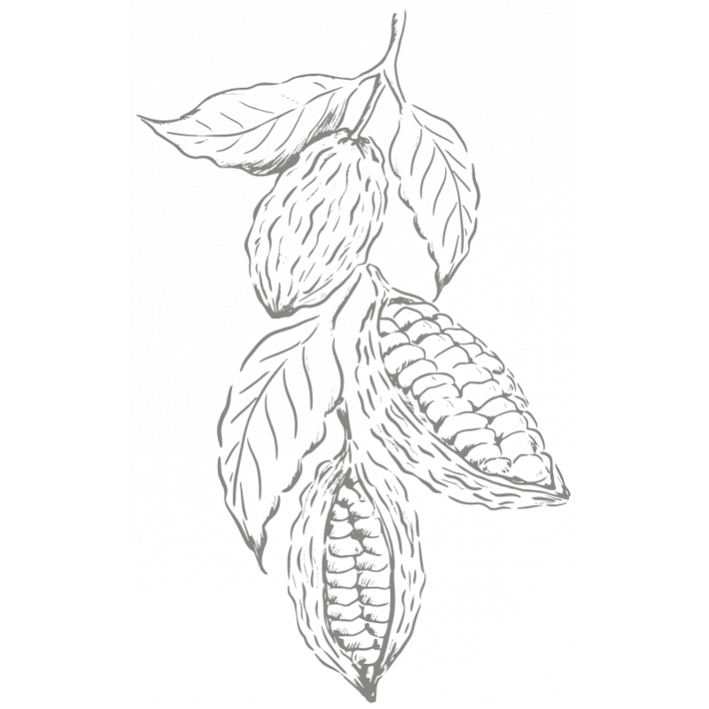 The sublime cocoas with spices