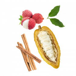 Berlingot Cocoa Litchi Ceylan Cinnamom