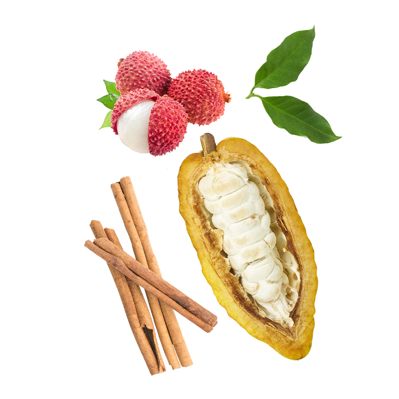 Berlingot Cacao Litchi Cannelle de Ceylan