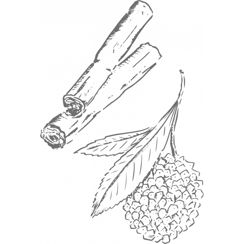 Berlingot Cocoa Litchi Ceylan Cinnamom