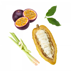 Berlingot Cocoa Passion Fruit Lemongrass