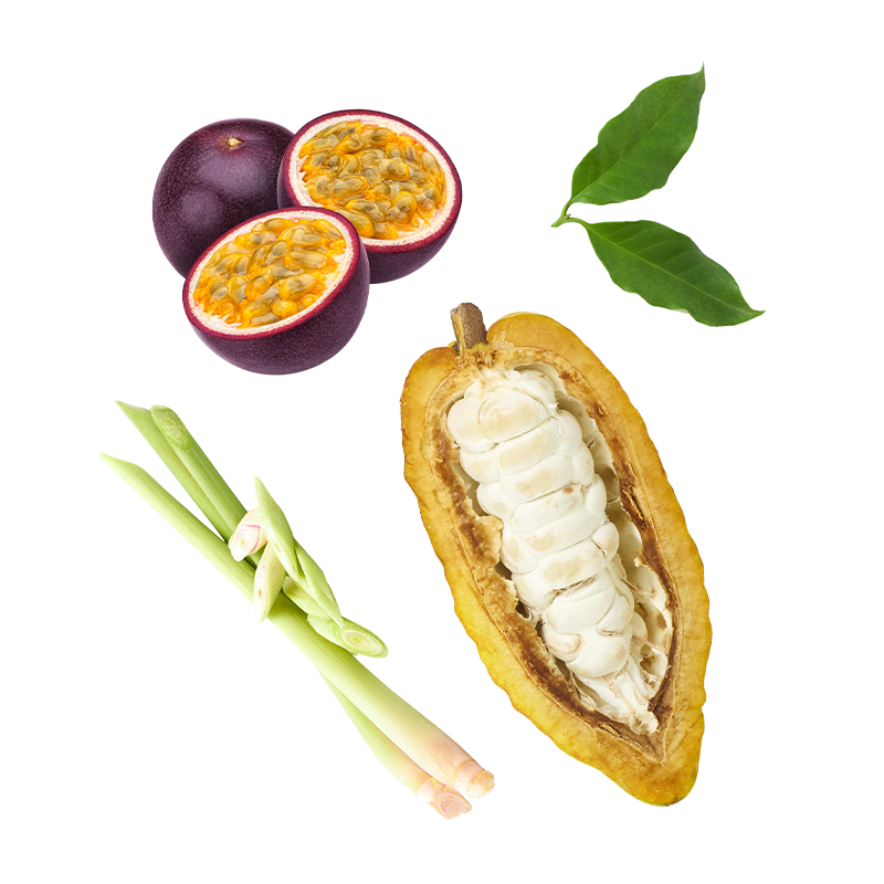 Berlingot Cacao Fruits de la Passion Citronnelle