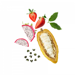 Berlingot Cocoa Dragon Fruit Strawberry Sichuan green