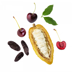 Berlingot Cocoa Cherry Tonka beans