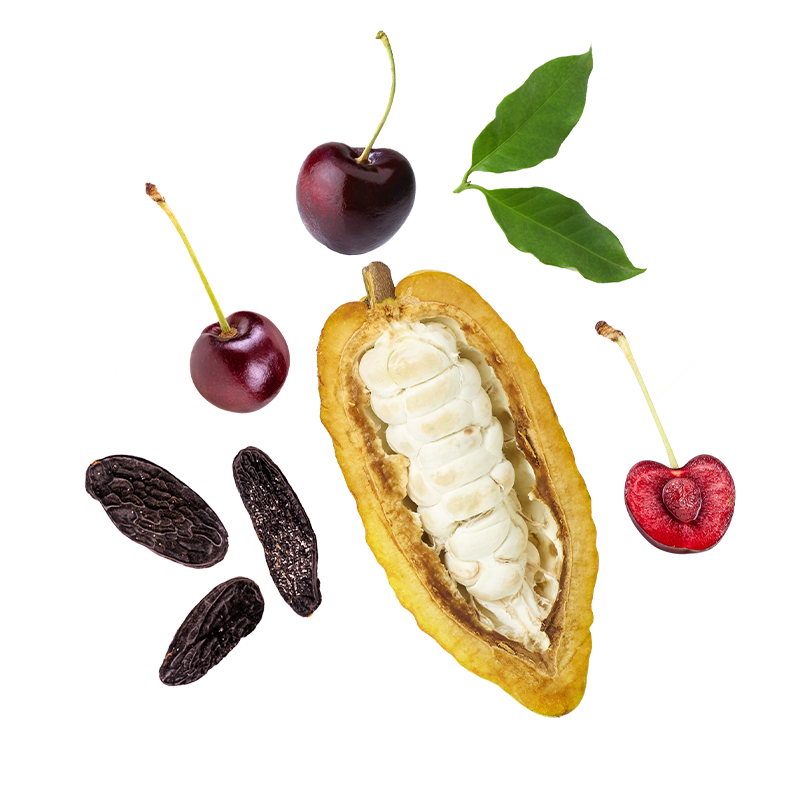 Berlingot Cacao Cerise Fève Tonka