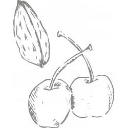 Berlingot Cocoa Cherry Tonka beans