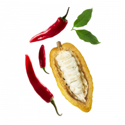 Berlingot Cocoa Espelette Pepper