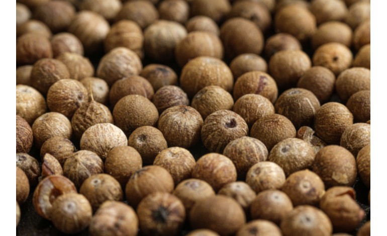 Peppercorns dipped in water to check its quality?