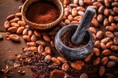 The history of cocoa