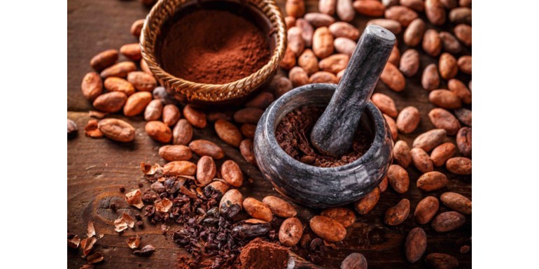 L'histoire du cacao