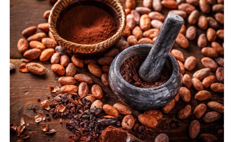 Cacao : bienfaits, origine, poudre, chocolat