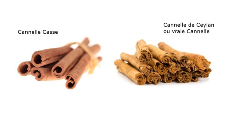 Do you know the difference between Ceylon Cinnamon and Casse Cinnamon (Chinese Cinnamon)?
