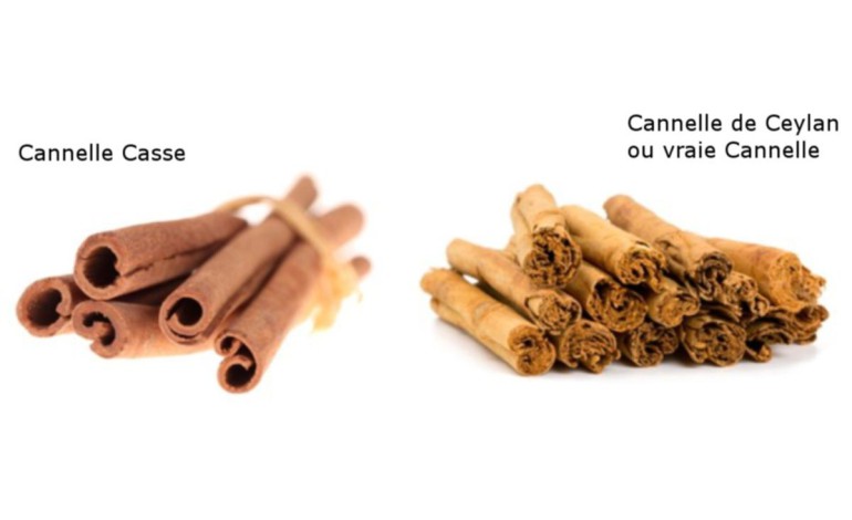 Do you know the difference between Ceylon Cinnamon and Casse Cinnamon (Chinese Cinnamon)?